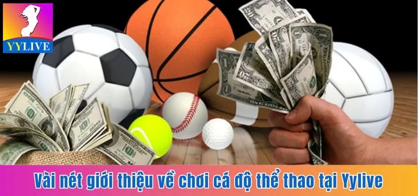 Chơi Cá Độ Thể Thao Tại YYlive Hấp Dẫn, Nhanh Chóng 2 Vài nét giới thiệu về chơi cá độ thể thao tại YYlive